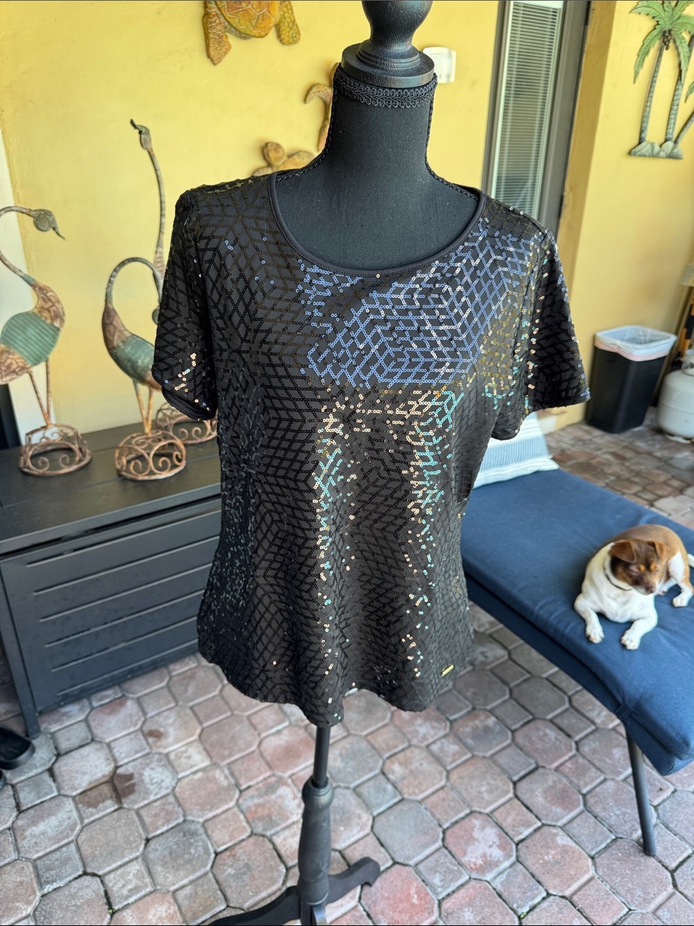 Black Sequin Short Sleeve Women's Top